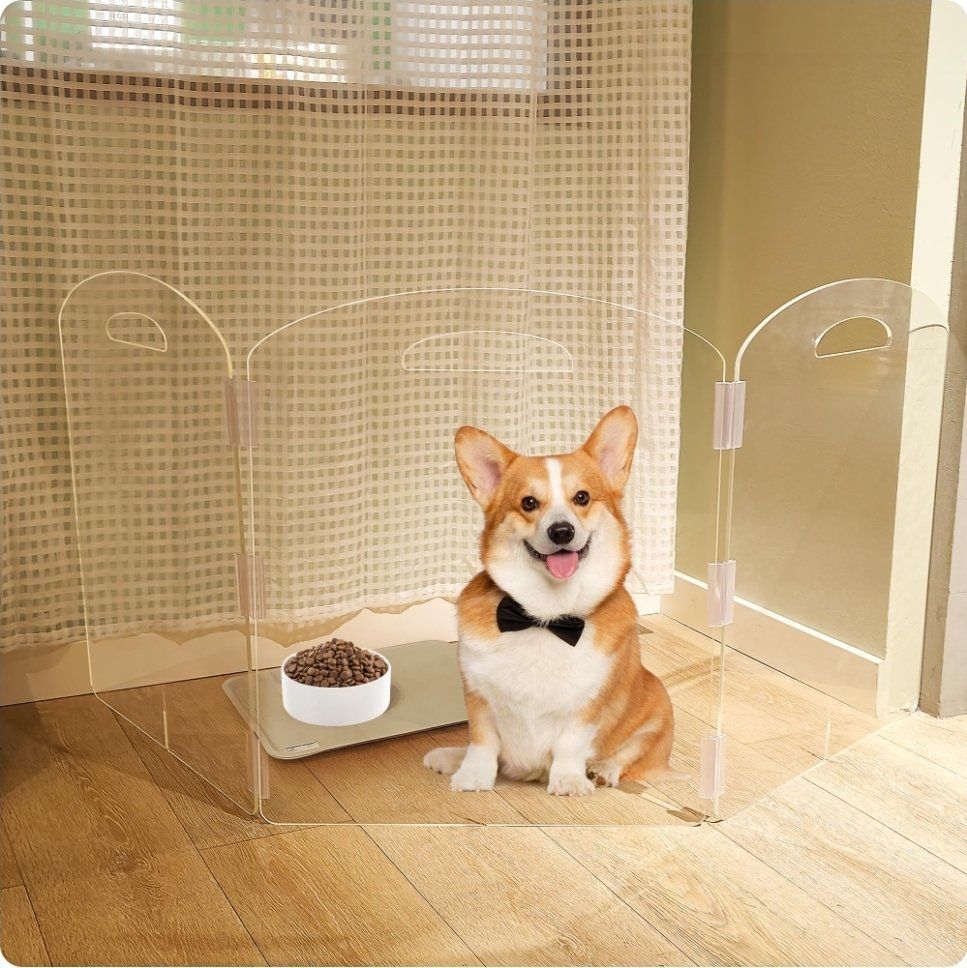 Clear Acrylic Pet Gate, 3 Panel (Each Panel 20"x24")