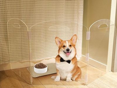 Clear Acrylic Pet Gate, 3 Panel (Each Panel 20"x24")