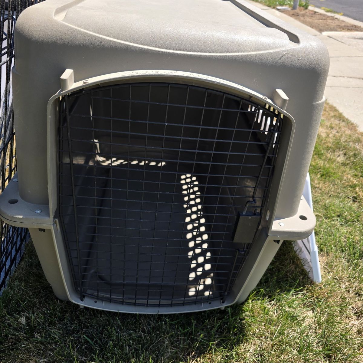 dog kennel