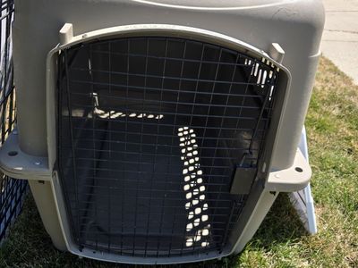 dog kennel