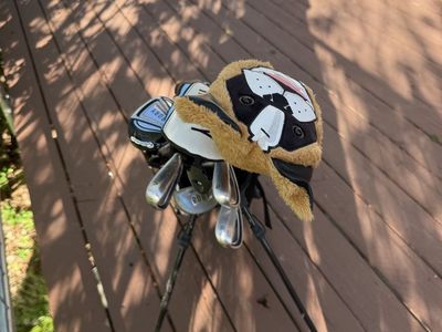 Taylor made Rory junior clubs