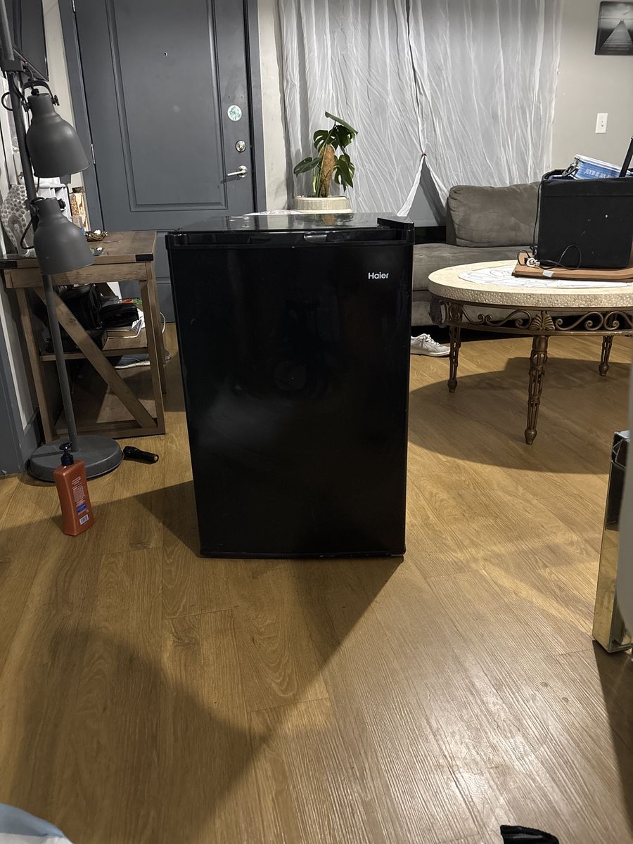 Hair mini fridge freezer