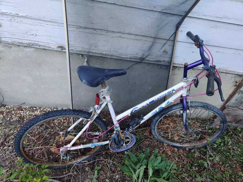 Magna Great Divide Bike $15 obo