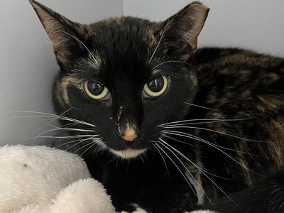 Hello my name is Rorie