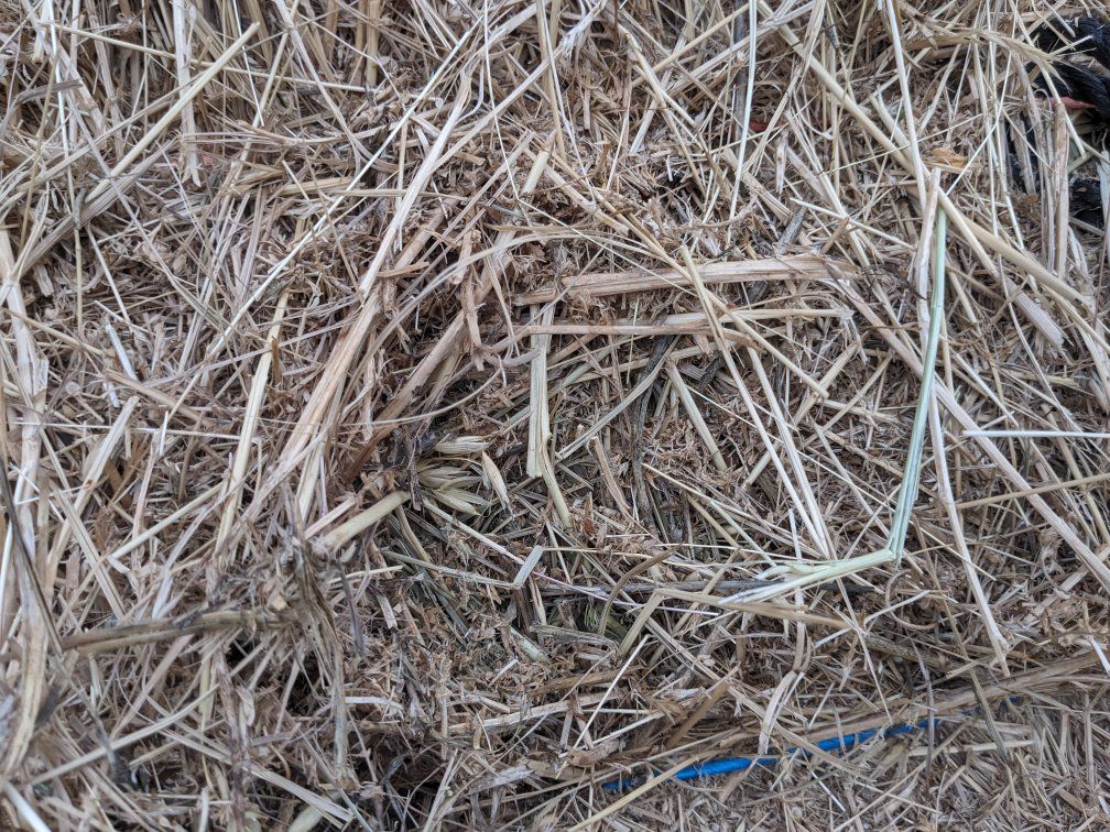 Hay for sale