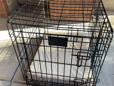 Small Dog Crate with cushion