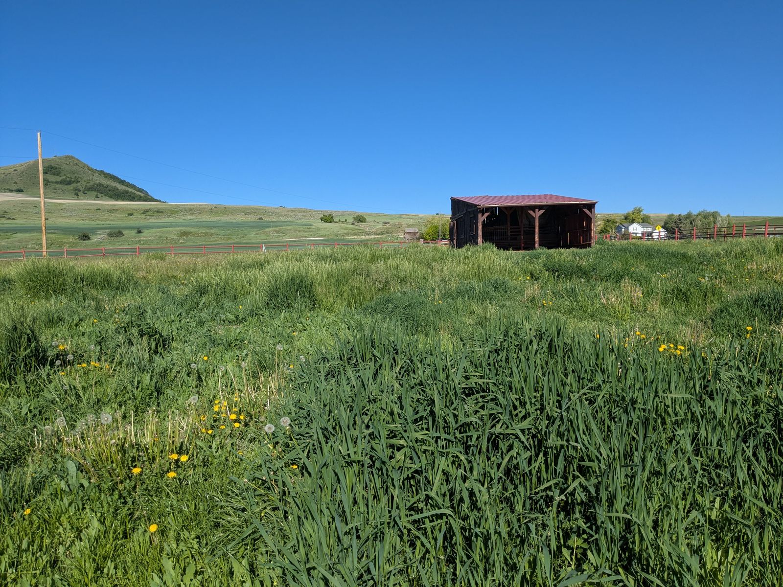 Main image 7