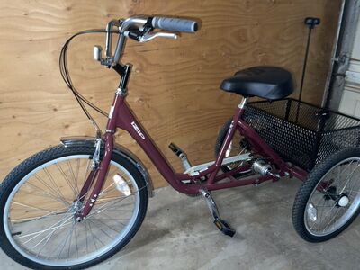 I Zip Three Speed Adult Tricycle Bike