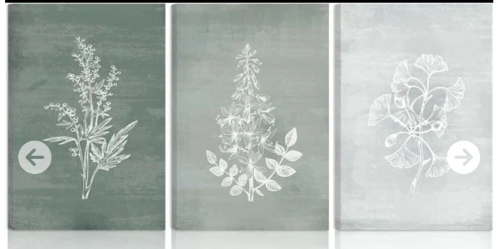 NEW BNCUE 3 Piece Neutral Botanical Canvas Wall Art 16" x 24"
