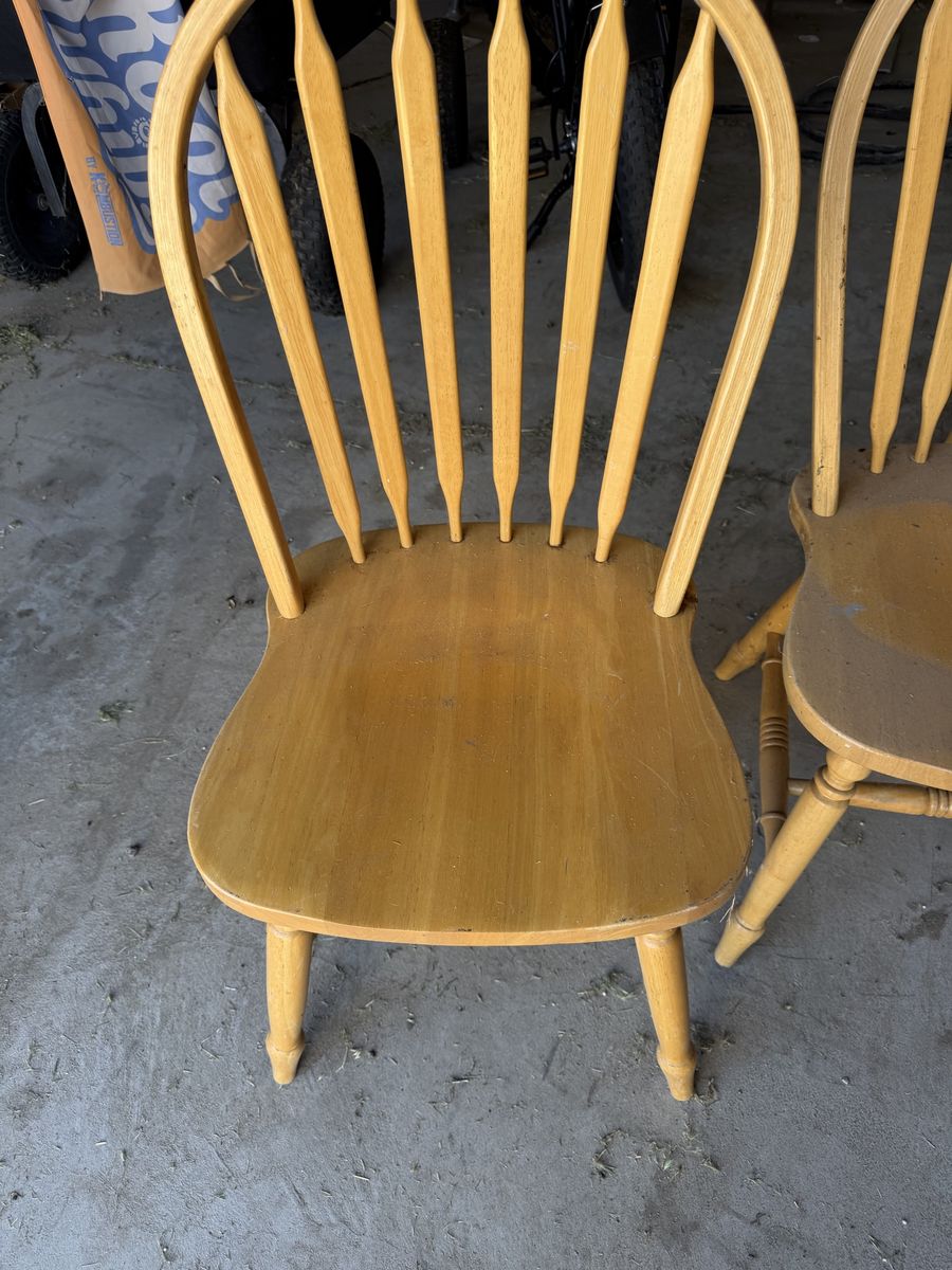 Dinning room chairs