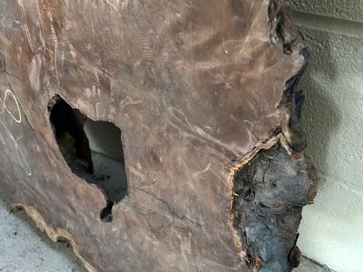 Live Edge Hardwood Slab Natural Wood Table Top Craft Lumber Rustic Decor