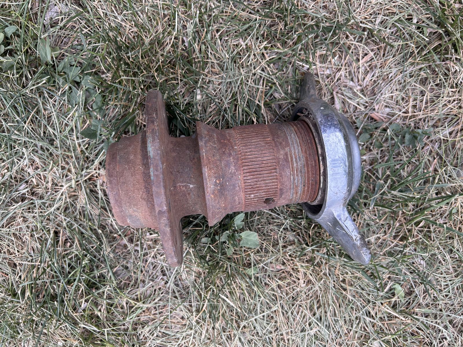 Main image 3