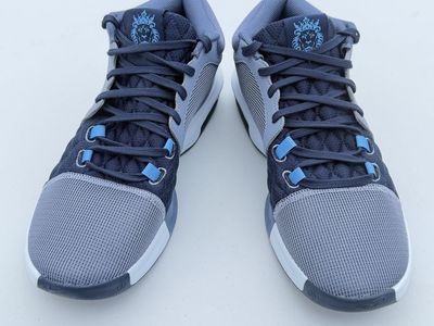 Brand-new, unworn Nike LeBron Witness VIII basketball shoes