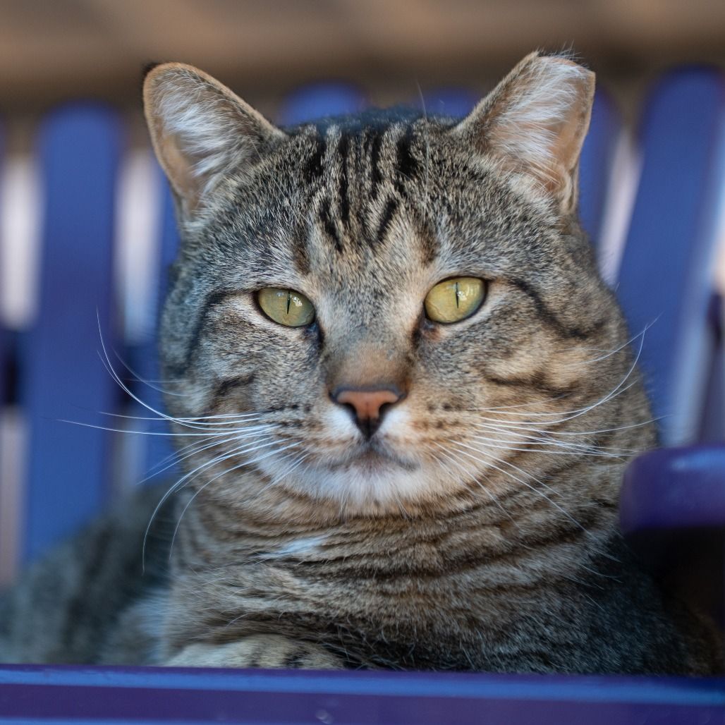 Hello my name is Benson