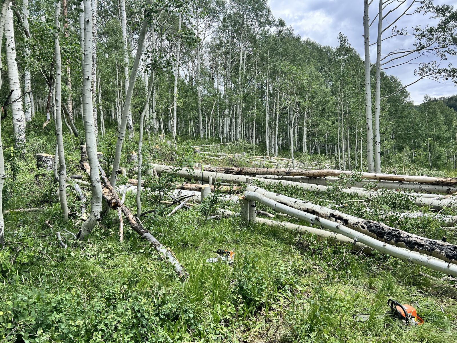 Main image 3
