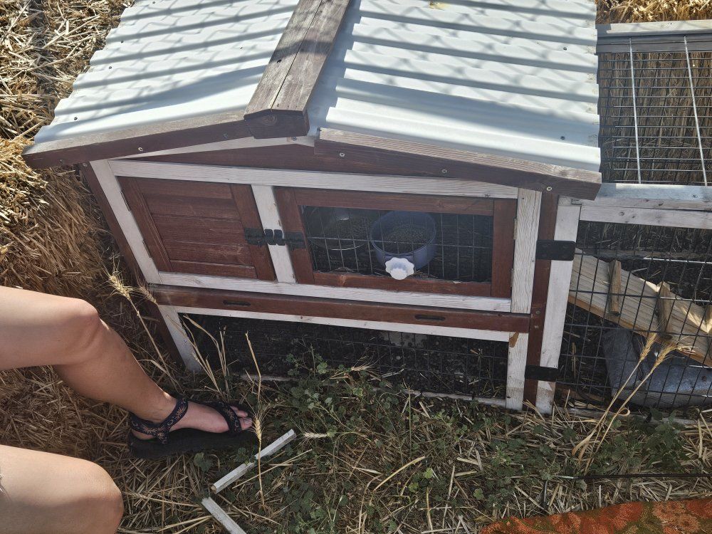 Rabbit/Bunny Home