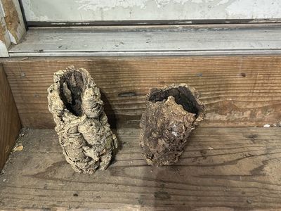Small corks