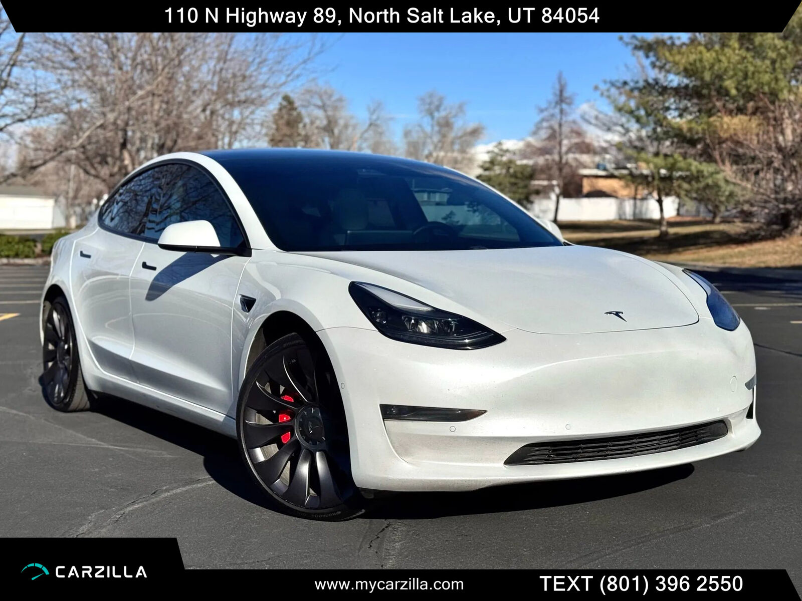 2021 Tesla Model 3 Performance