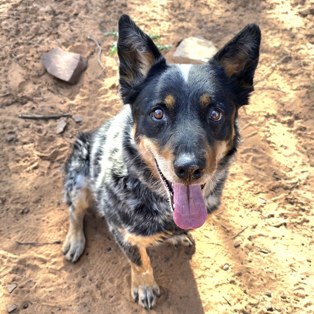 Hello my name is Drake