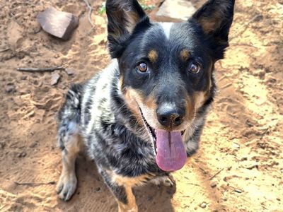 Hello my name is Drake