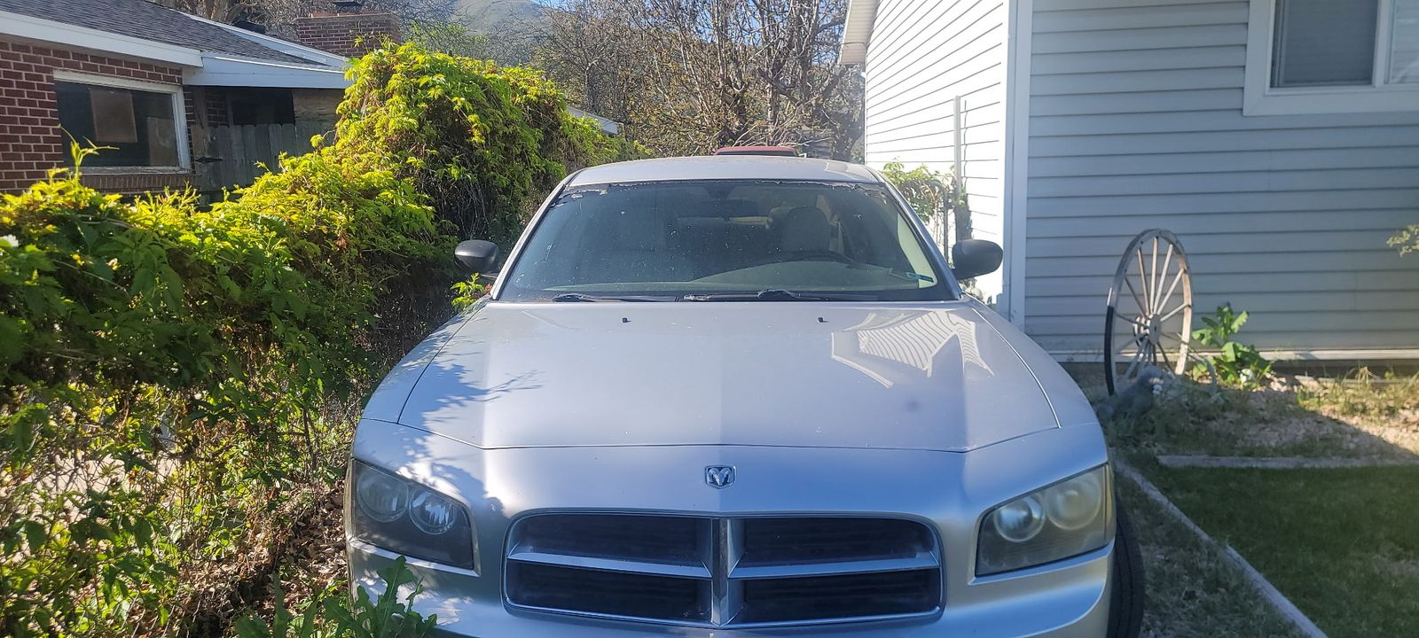 Dodge charger