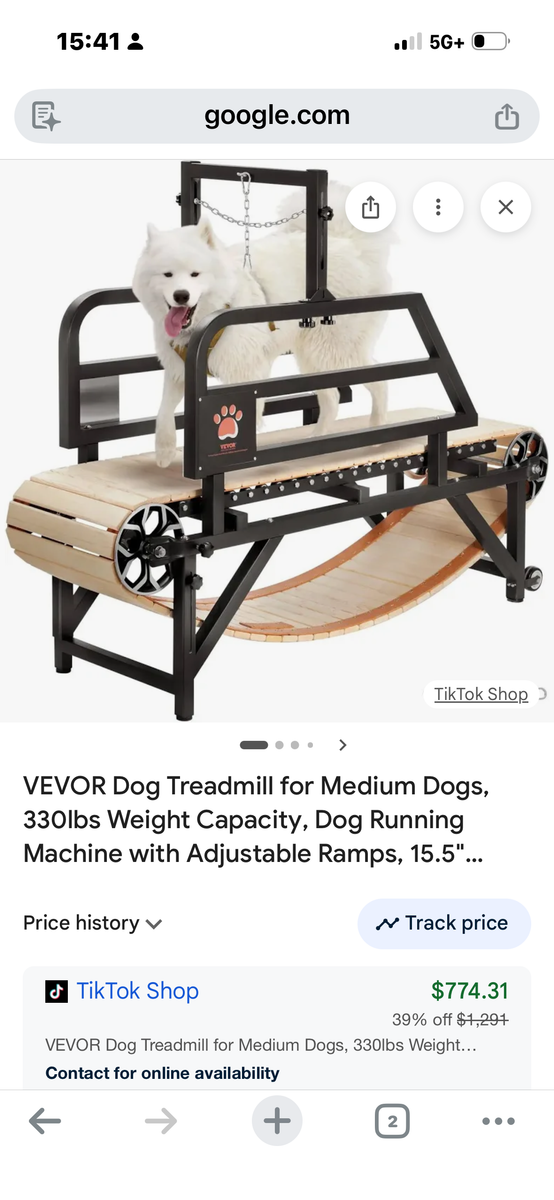 Vevor Dog Treadmill. Brand new!