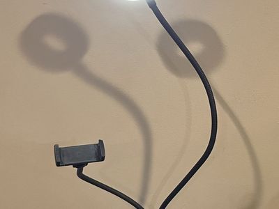 2-in-1 clip on ring light with phone holder