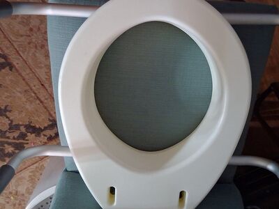 toilet seat with handles