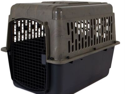 2 intermediate plastic dog crates