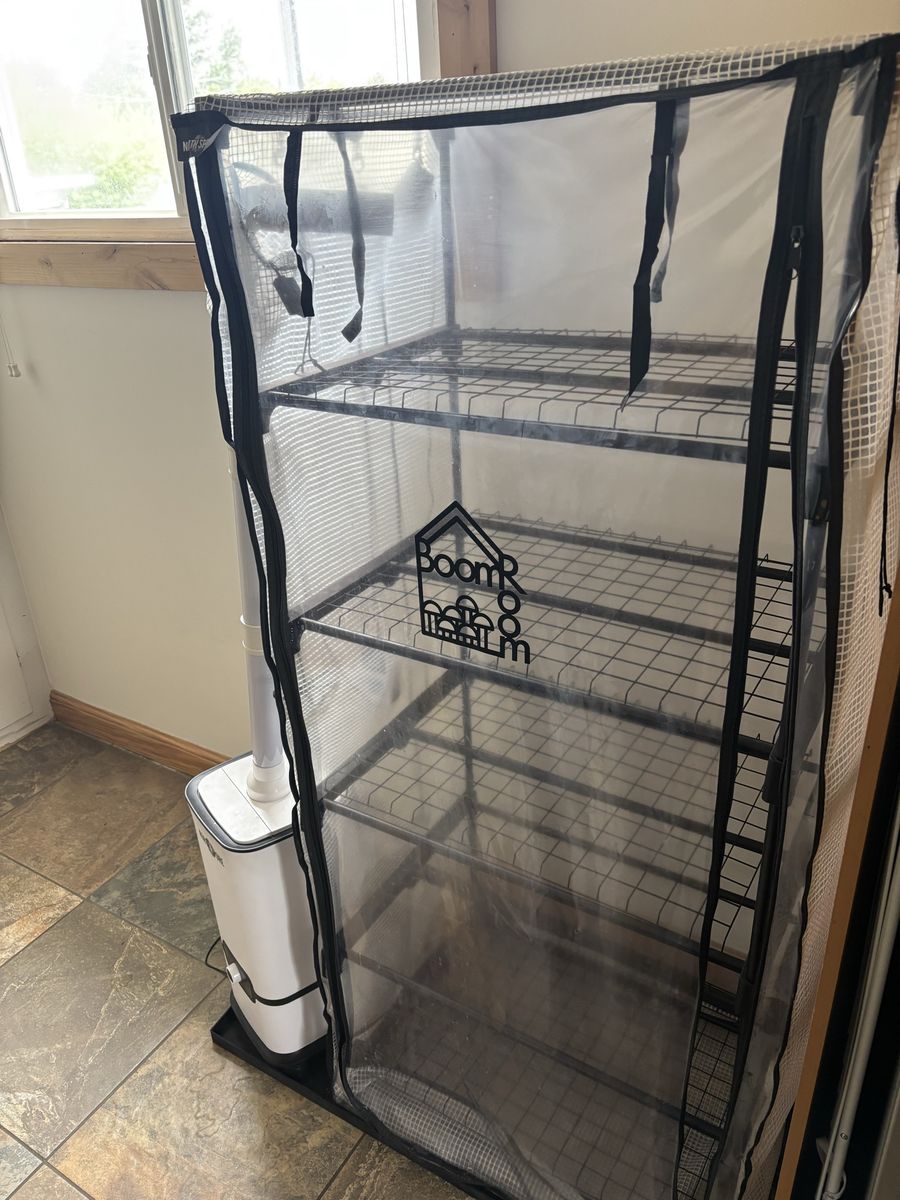 Boom Room - Mushroom Grow Tent
