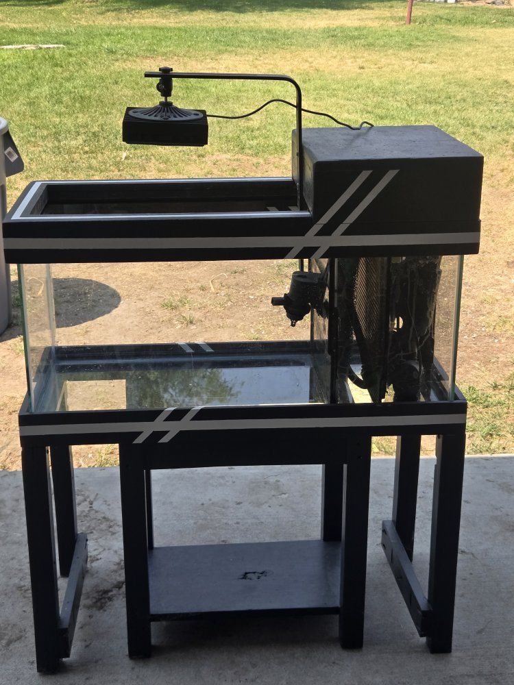 20gal long fish tank with built-in filtration and light