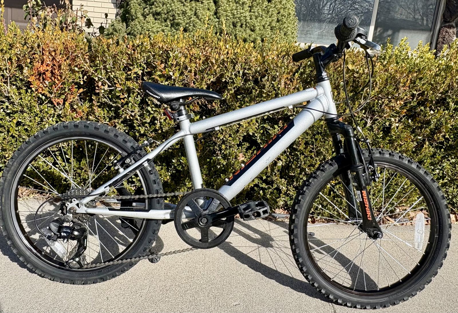 20 Inch 7 Speed Bike Thats Ready To Ride