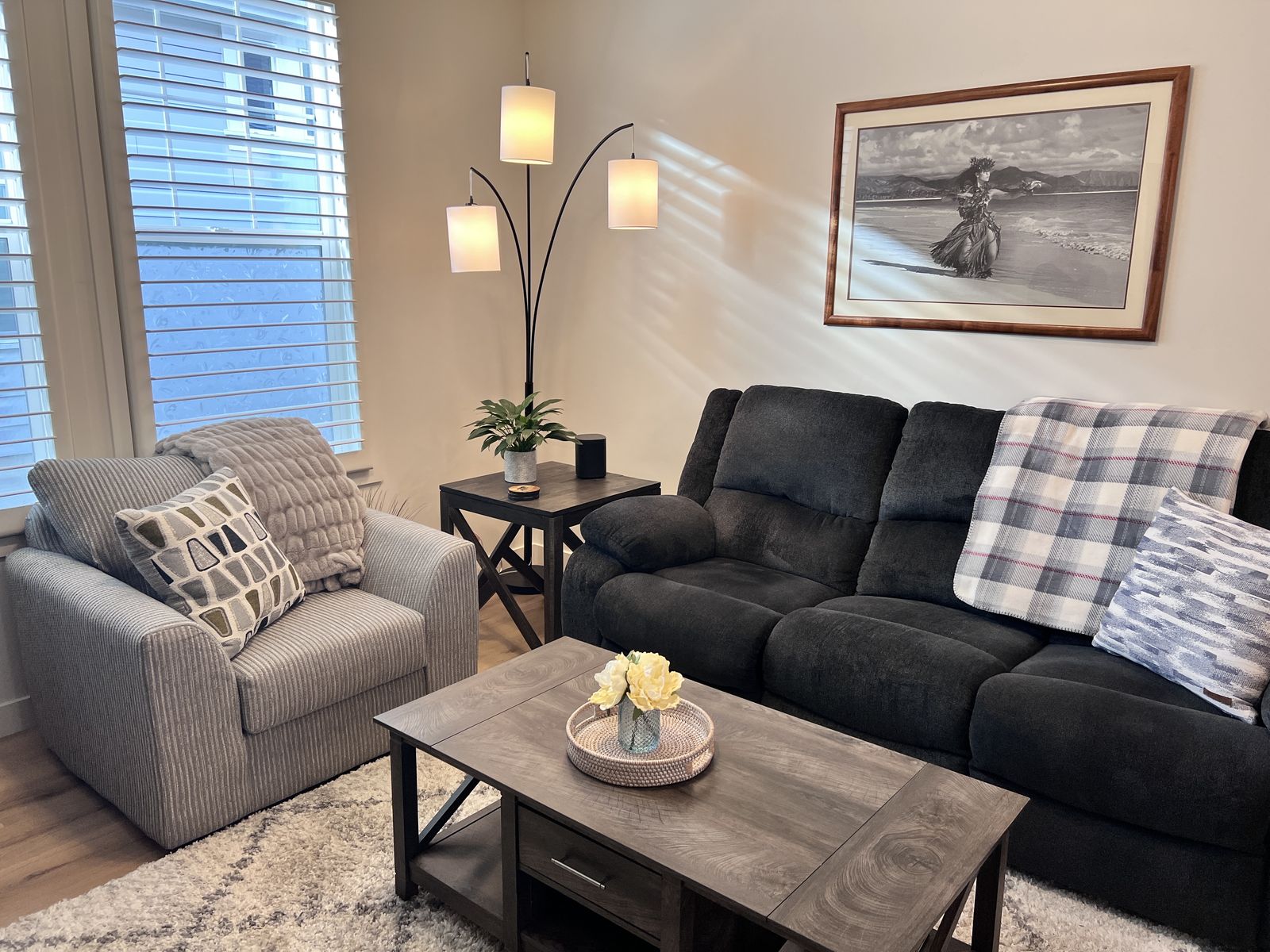 Living Room Furniture