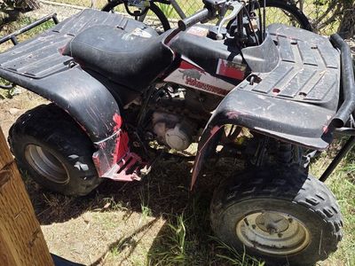 timberwolf 4 wheeler 1993,