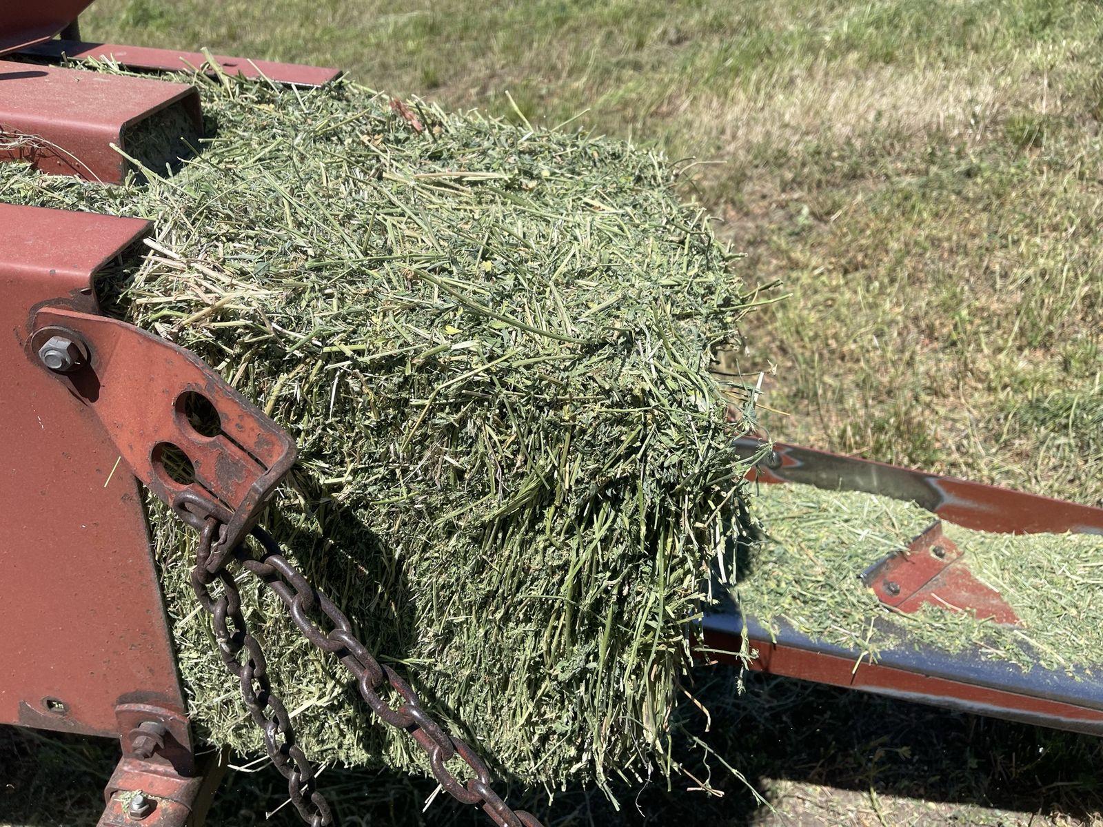 Alfalfa and grass mixed