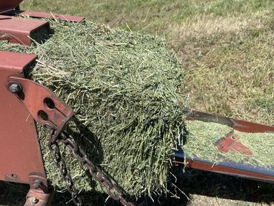 Alfalfa and grass mixed