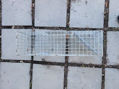 Small Humane No-Kill Animal Trap