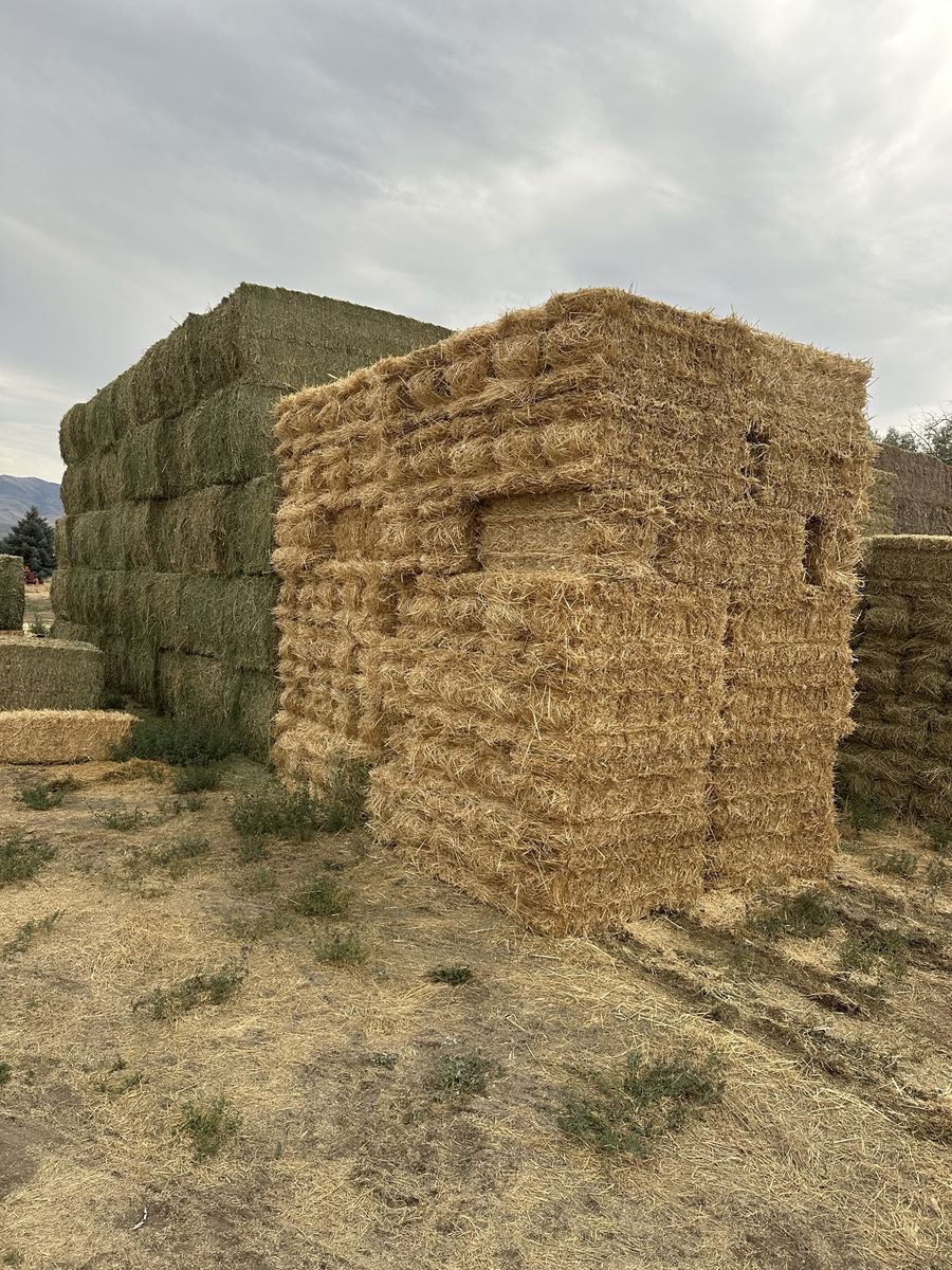 2 string wheat straw 