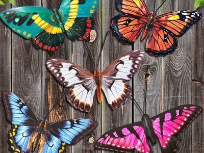 Metal Butterfly Wall Decor - 5 Pack Lifelike Butterflies Wall Art Sculpture Hanging Decorations for Indoor or Outdoor -BA2