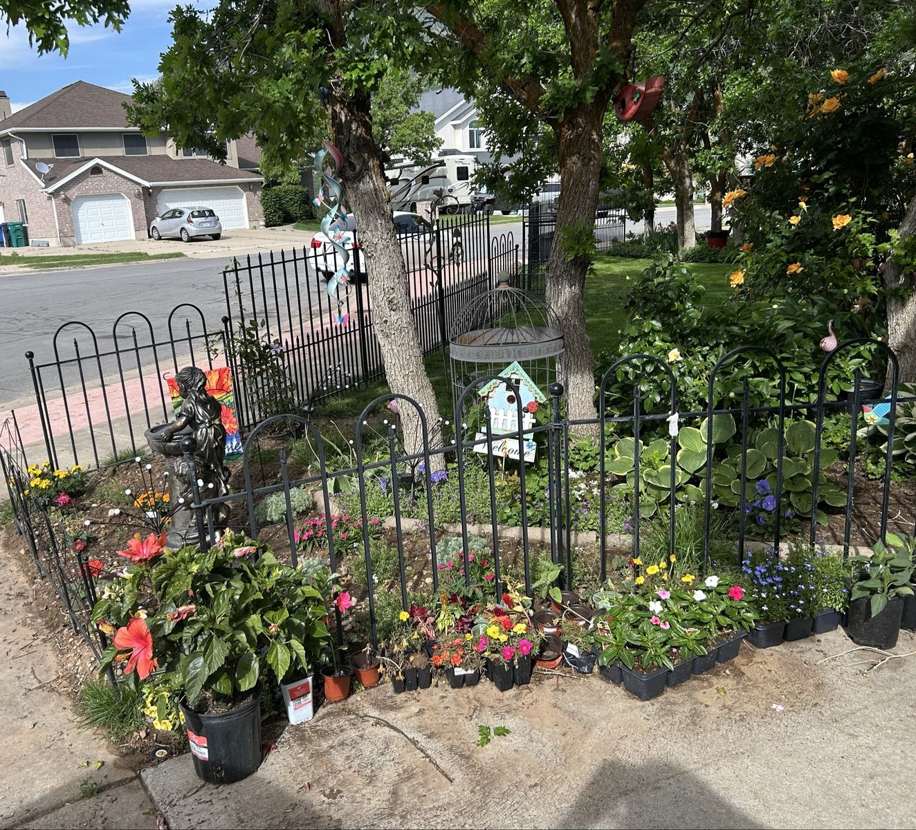 Main image 11