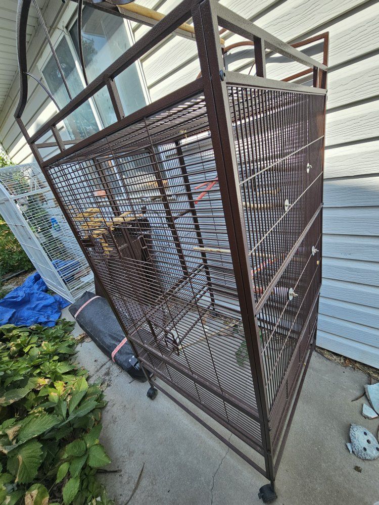 bird cages