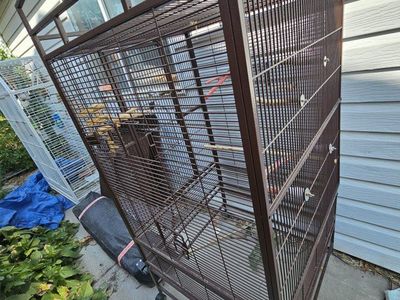 bird cages
