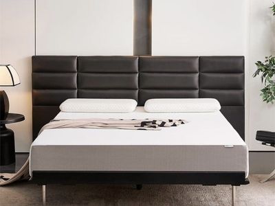 NIB AMAZON BASICS Plush Queen 10 Inch Memory Foam