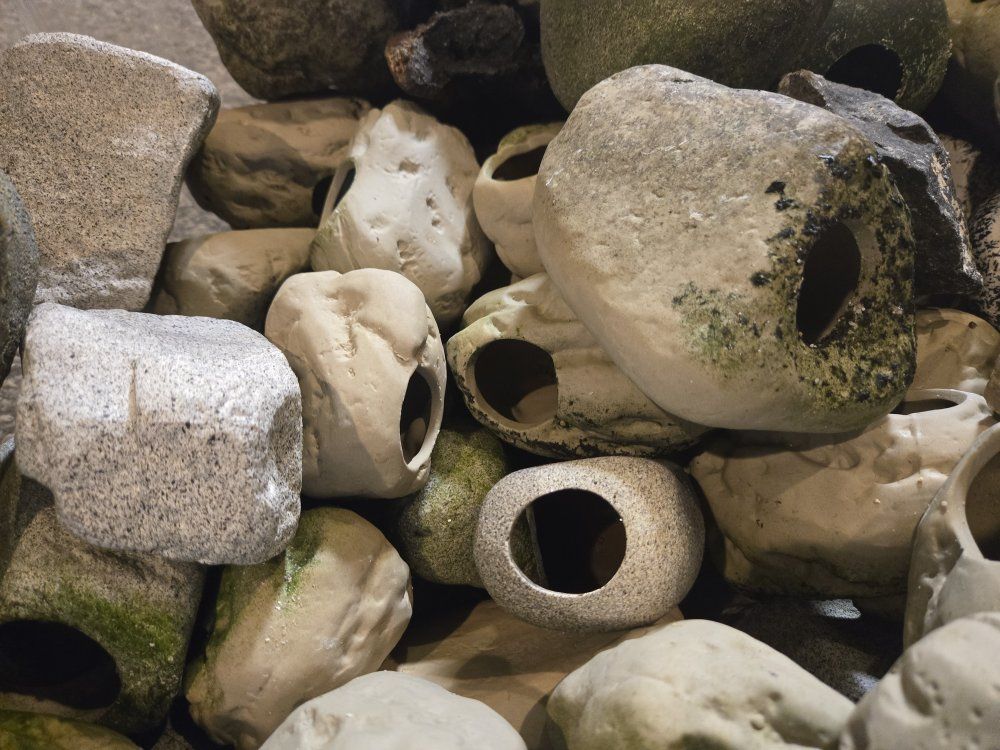 tote of cichlid porcelain rocks
