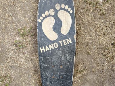 Hang Ten Original Skateboard with Bear Trucks and Vintage Wheels