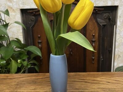 Fiesta Ware / Fiestaware Periwinkle Bud Vase - Retired Color
