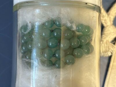 *NEW* Dk Green Adventurine Gemstone Necklace