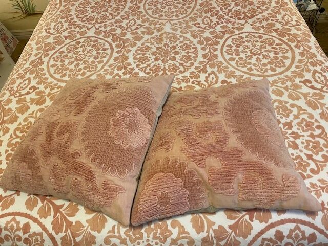 2 Pottery Barn - 20x20 Pillows & Covers