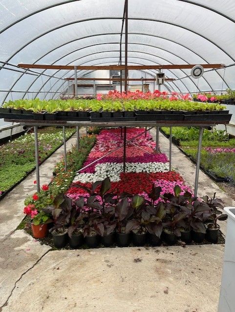 Nursery Stock Final Close Out LAST WEEKEND!!!