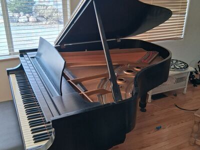 Steinway and Sons L5 baby grand piano with QRS PNOmation 3 player